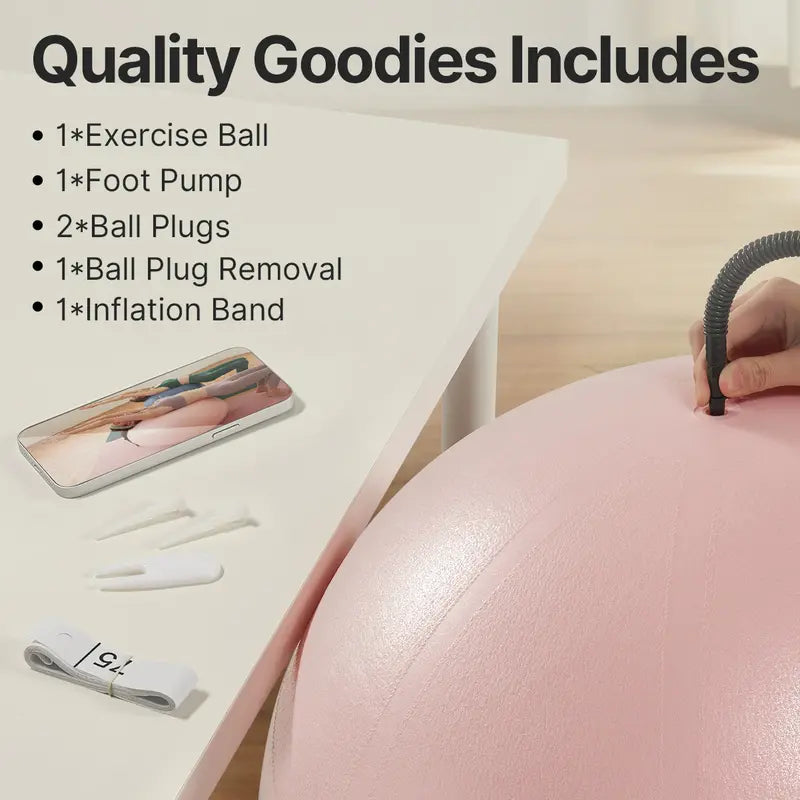 65cm Unisex Anti-Burst Stability Ball, Extra Thick PVC Exercise Equipment for Core Workouts